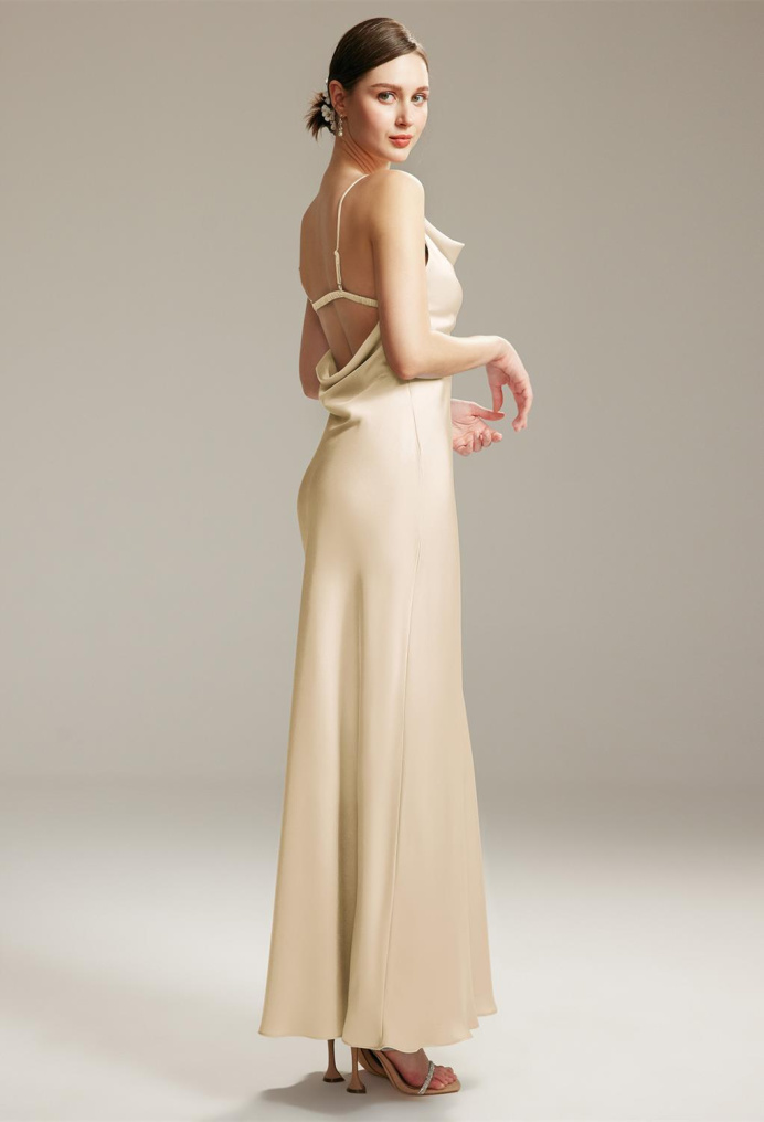 AW Jania Champagne  Dresses